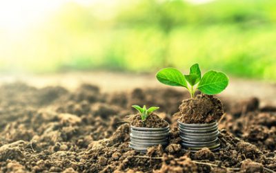 Honorarberatung rechnet sich